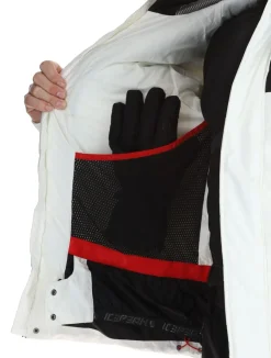 Evarts ski-jas heren