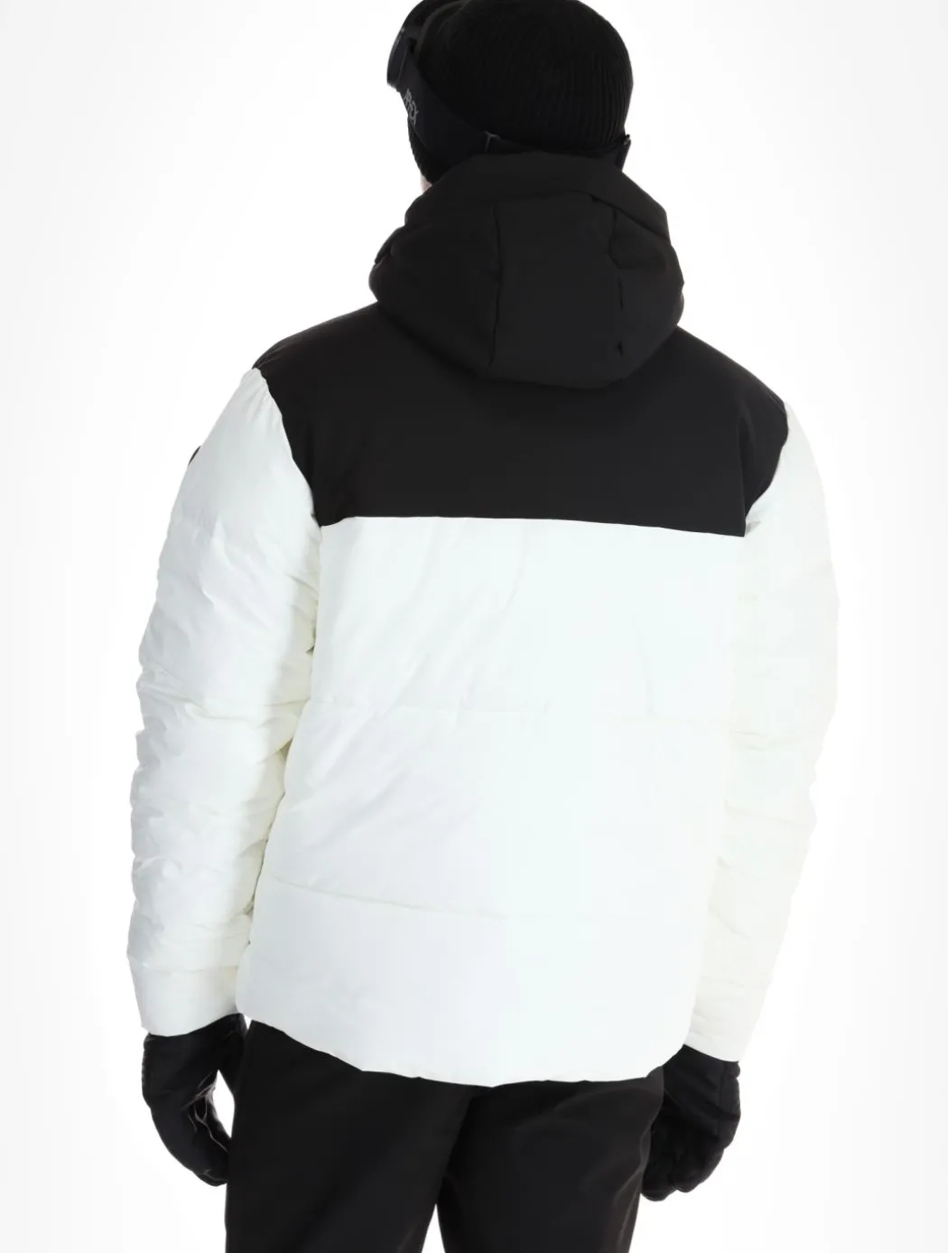 Evarts ski-jas heren