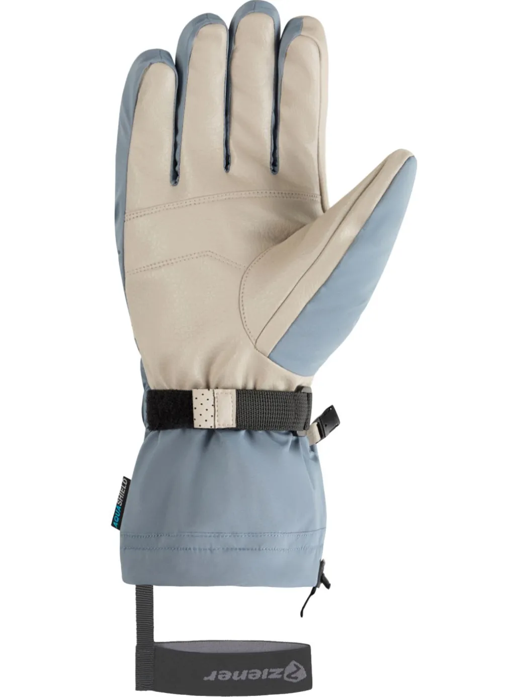 Gaiku-Z AS® AW skihandschoenen heren