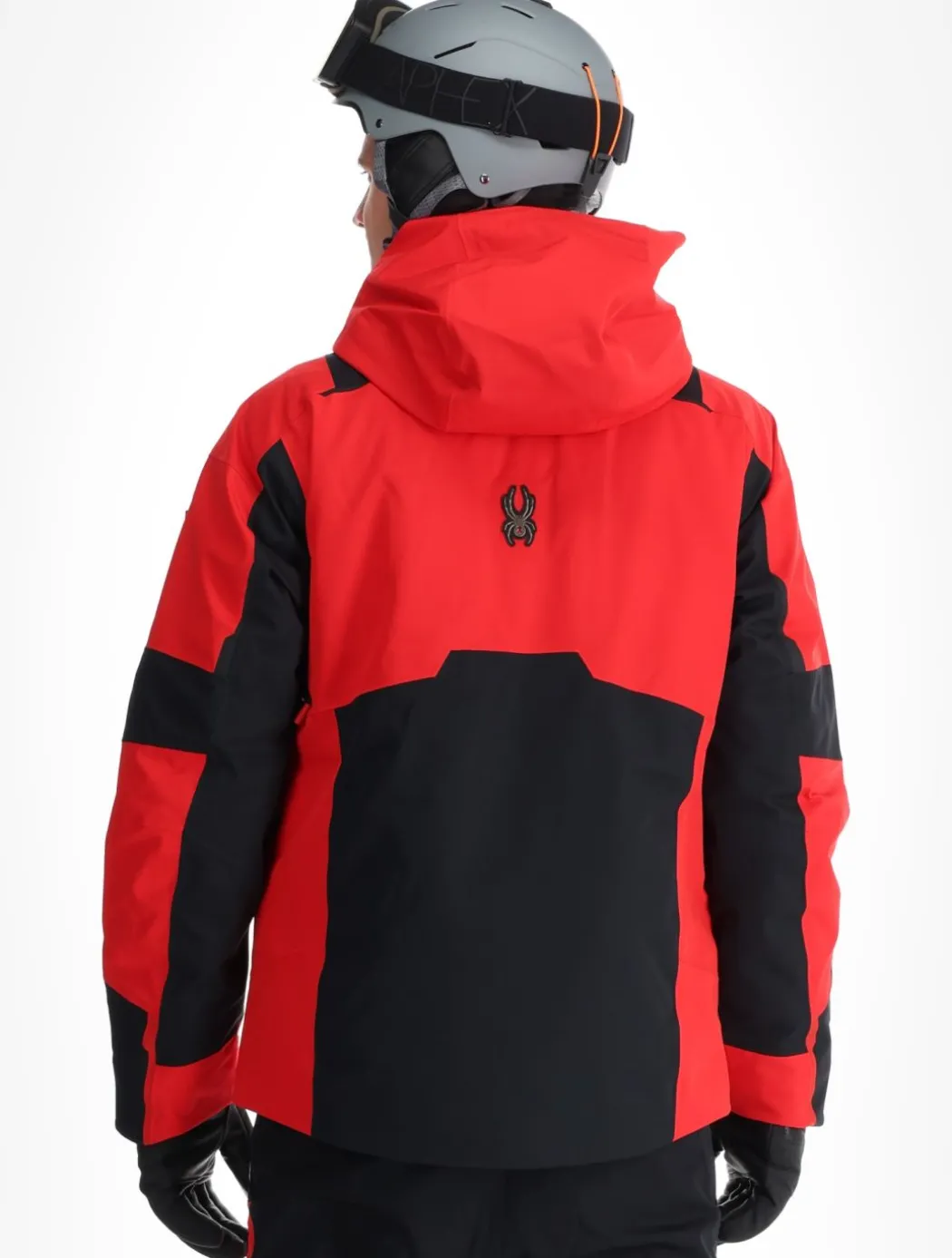 Leader ski-jas heren