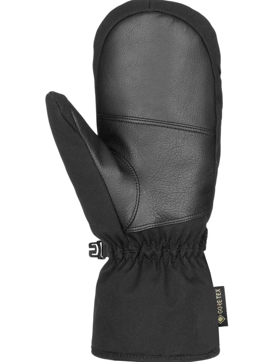 Morris GORE-TEX skiwanten heren