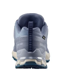 Shoes Xa Pro 3d V9 Gtx W Grisai/tradewin trail schoen dames