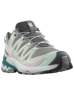 Shoes Xa Pro 3d V9 W Gull/white/bleaaq trail schoen dames