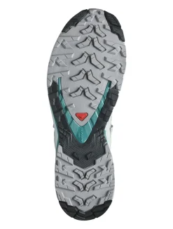 Shoes Xa Pro 3d V9 W Gull/white/bleaaq trail schoen dames